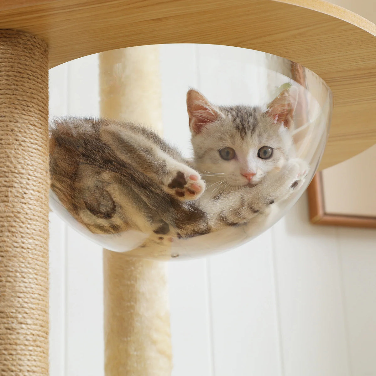 Pawz Multi Level Indoor Cat Tree Tower With Scratching Posts