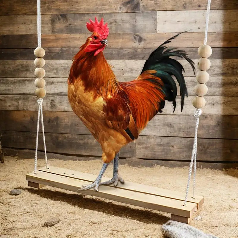 Natural Fiber Chicken Coop Swing For Poultry Habitat Hen Care